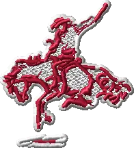 Decoration 9ccd0ff8-0f1d-4313-8aff-00cd02a537d6