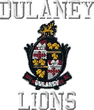 Decoration c4f55505-5f00-47a5-81bf-6ef2ae17bb38